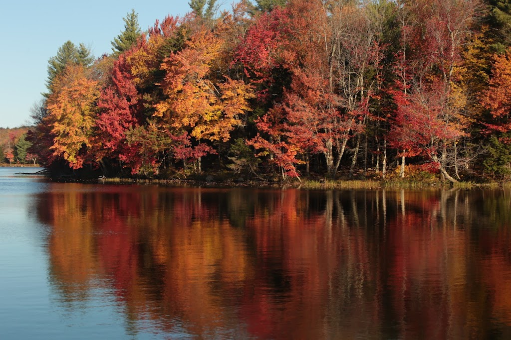 October Mountain State Forest | 317 Woodland Rd, Lee, MA 01238 | Phone: (413) 243-1778