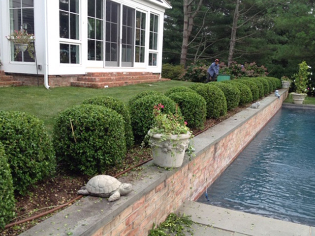 MICCIMANNI Landscaping Corp | 759 N Sea Rd, Southampton, NY 11968 | Phone: (631) 276-2863