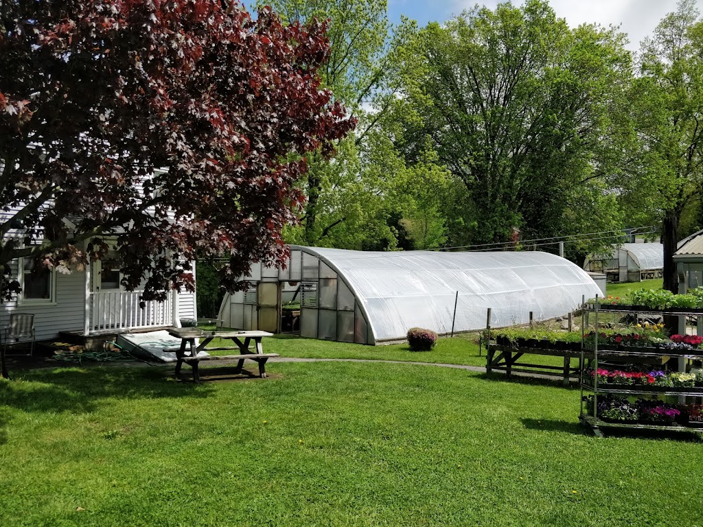 Hilltop Garden Nursery | 187 Hill St, Ansonia, CT 06401 | Phone: (203) 735-1329