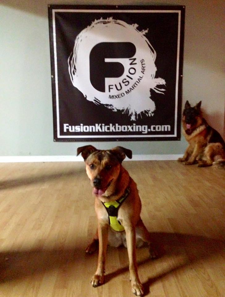 Fusion MMA & Kickboxing | 600 N Bicycle Path, Port Jefferson Station, NY 11776 | Phone: (631) 828-8008