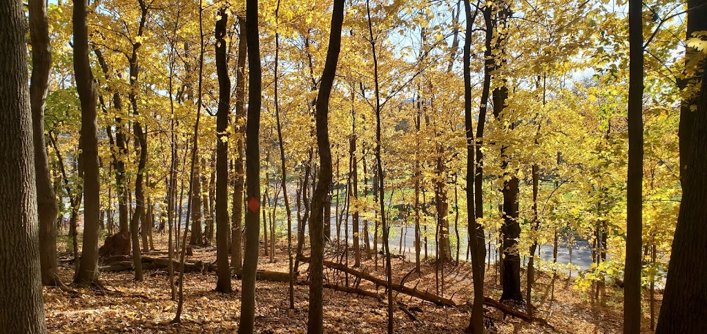 Rutgers Eco Preserve Trailhead | River Rd, Highland Park, NJ 08904 | Phone: (848) 932-1580