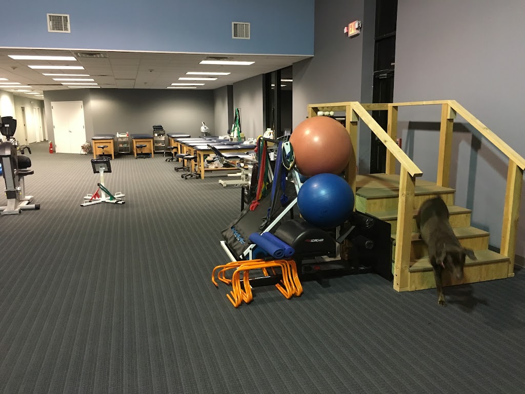Precision Sports and Pediatric Physical Therapy | 234 Crossways Park Dr, Woodbury, NY 11797 | Phone: (516) 921-2900