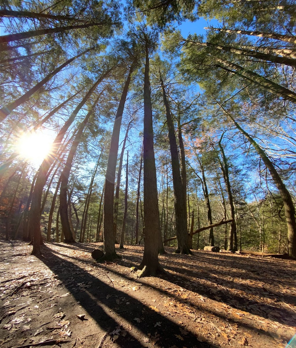 Devils Hopyard State Park | 366 Hopyard Rd, East Haddam, CT 06423 | Phone: (860) 424-3200