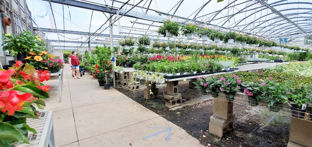 Hollandia Nurseries & Farm | 103 Old Hawleyville Rd, Bethel, CT 06801 | Phone: (203) 743-0267