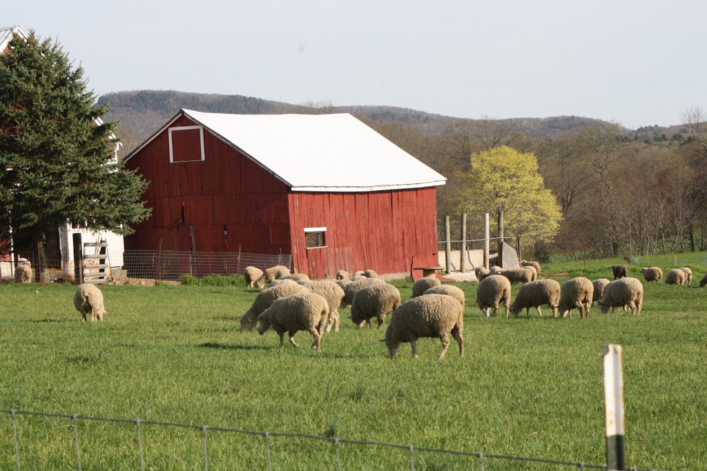 UMass Equine and Livestock Research and Education Farm | 111 N Maple St, Hadley, MA 01035 | Phone: (413) 549-3253