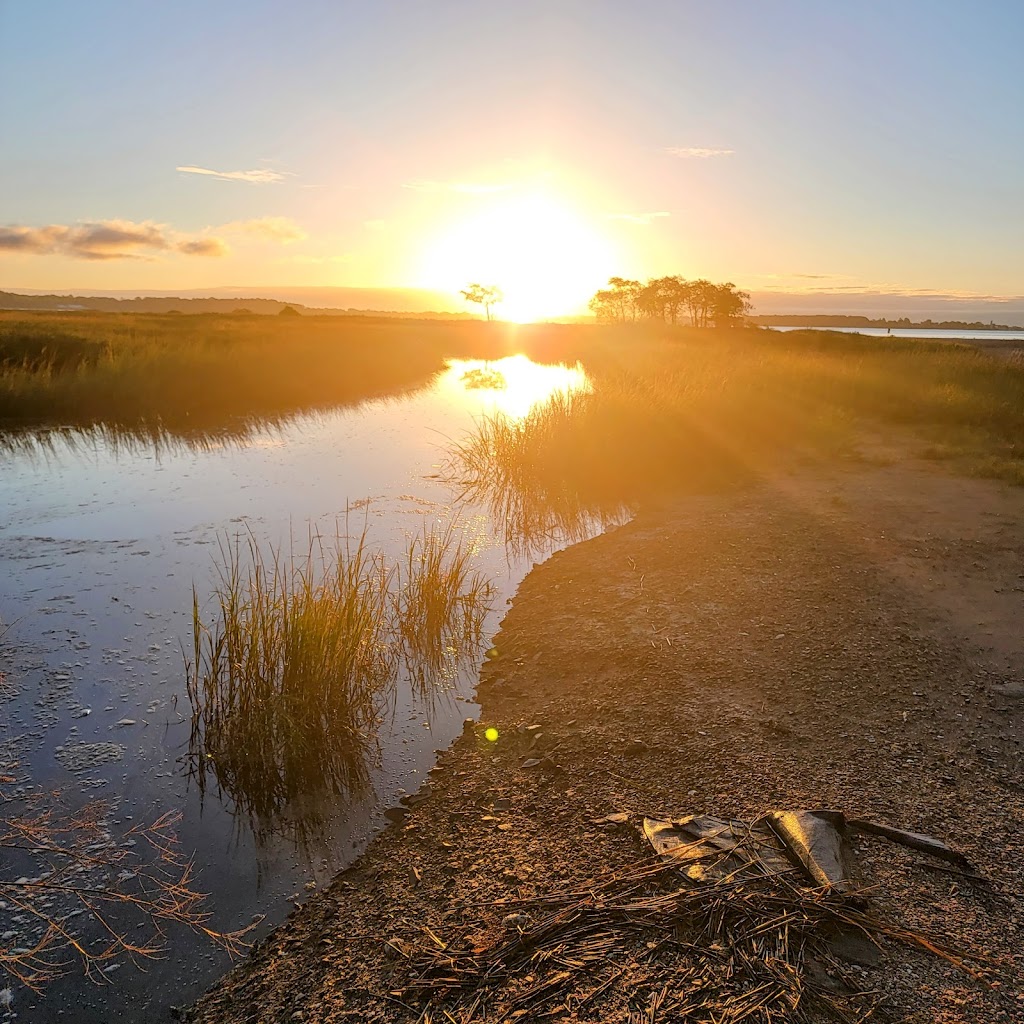 Sandy Point Bird Sanctuary | Beach St, West Haven, CT 06516 | Phone: (203) 937-3712