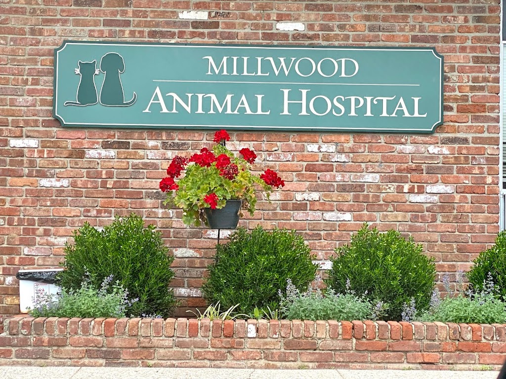 Millwood Animal Hospital | 231 Saw Mill River Rd, Millwood, NY 10546 | Phone: (914) 941-1801