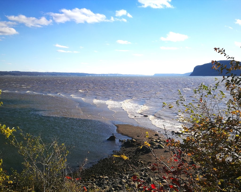 Croton Point Park | 1 Croton Point Ave, Croton-On-Hudson, NY 10520 | Phone: (914) 862-5290