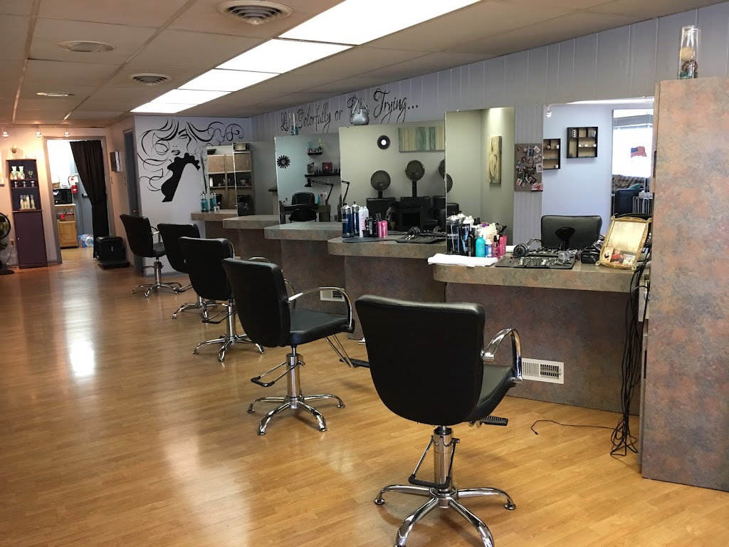 Diannas Hair Salon | 3333 Ridge Pike #1, Eagleville, PA 19403 | Phone: (610) 539-9631