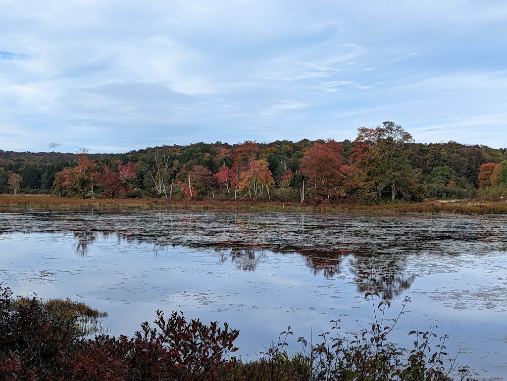 Browning Beaver Meadow Sanctuary | Hawley Rd, Equinunk, PA 18417 | Phone: (570) 253-9250