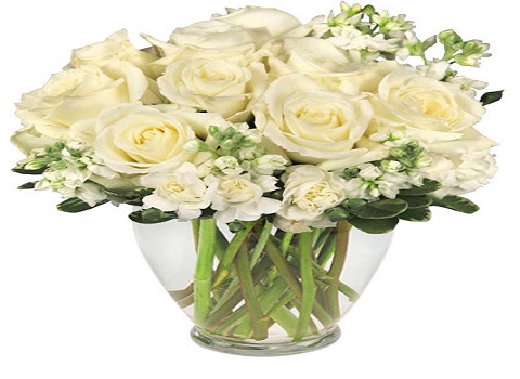 Osbornes Flower Shoppe | 30 Vassar Rd, Poughkeepsie, NY 12603 | Phone: (845) 462-5320