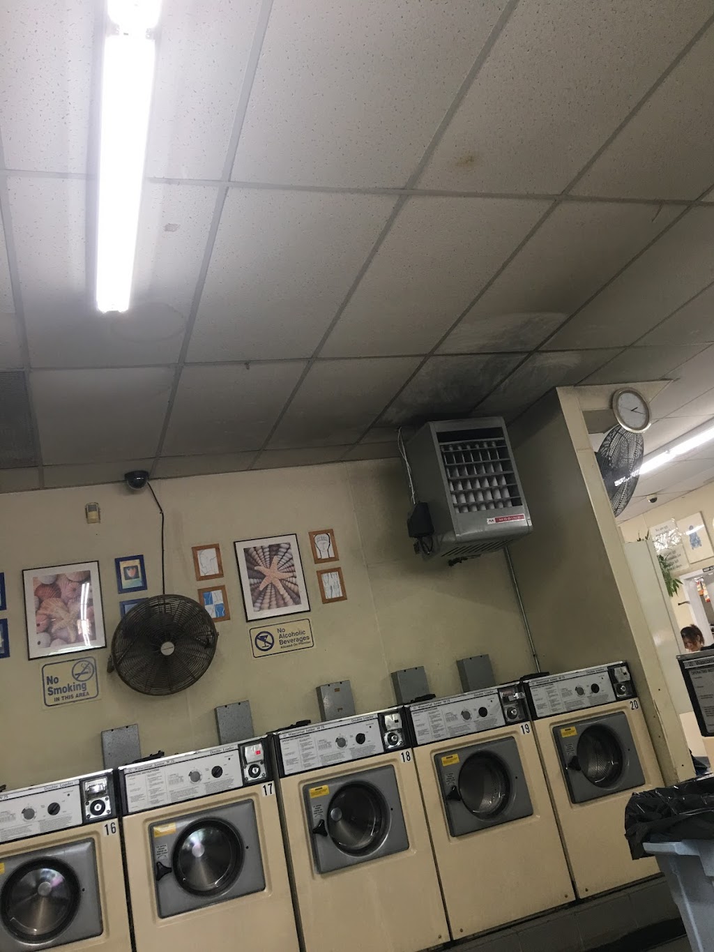 Ad Laundromat | 269 W Old Country Rd, Hicksville, NY 11801 | Phone: (516) 931-4888