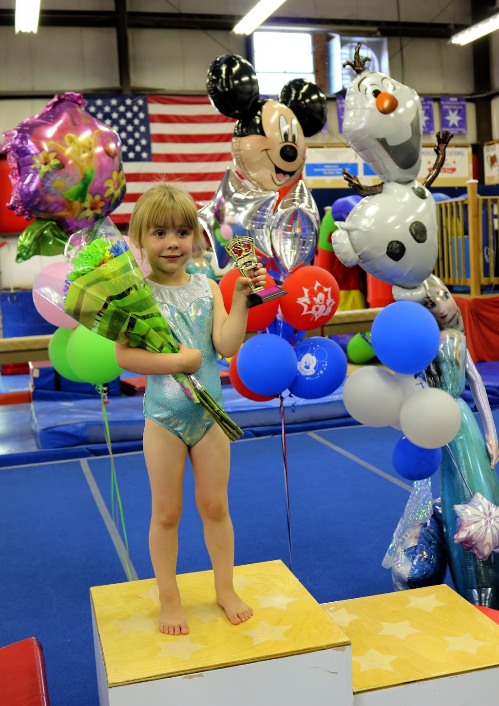 All Stars Gymnastics Academy | 430 Hayden Station Rd, Windsor, CT 06095 | Phone: (860) 683-2286