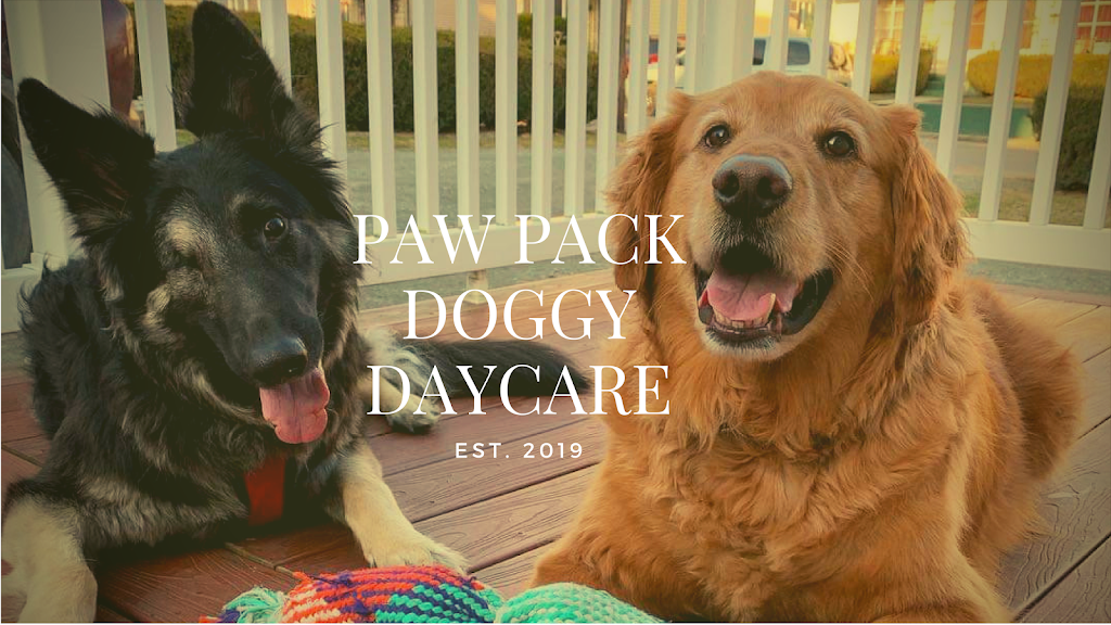 Paw Pack Doggy Daycare | 887 Easton Turnpike, Lake Ariel, PA 18436 | Phone: (570) 630-2812
