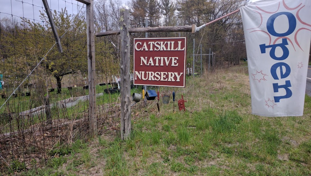 Catskill Native Nursery | 607 Samsonville Rd, Kerhonkson, NY 12446 | Phone: (845) 626-2758