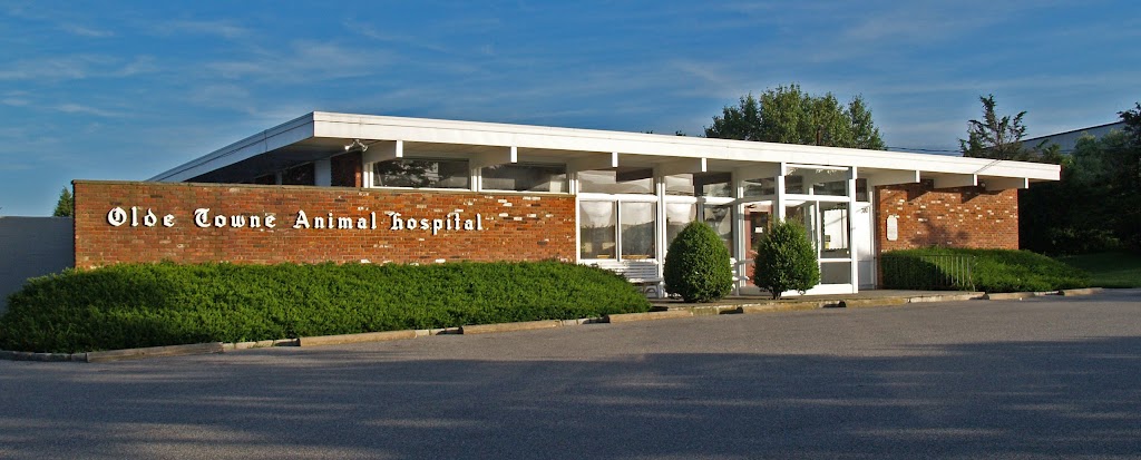 Olde Towne Animal Hospital | 380 County Rd 39A, Southampton, NY 11968 | Phone: (631) 283-0611