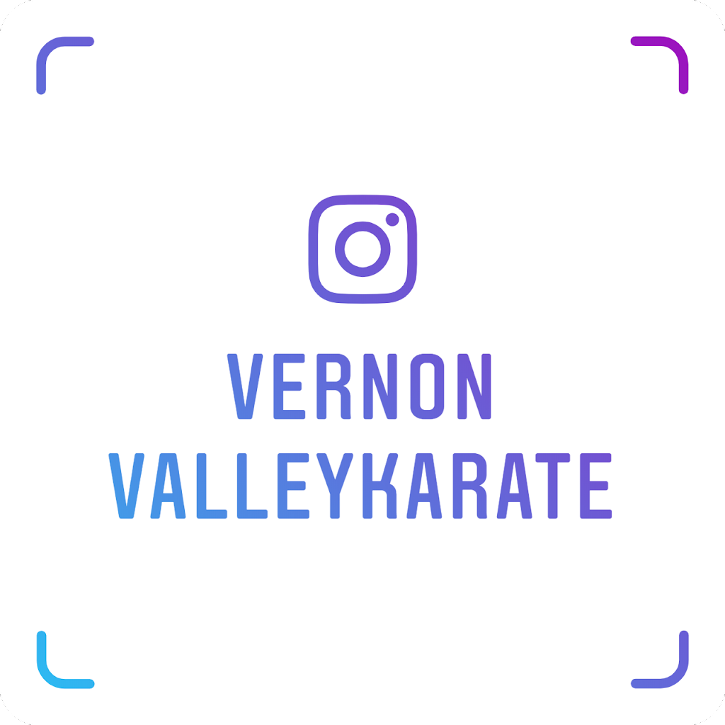 Vernon Valley Karate Academy | 5D Theta Dr, Vernon Township, NJ 07462 | Phone: (973) 764-3104