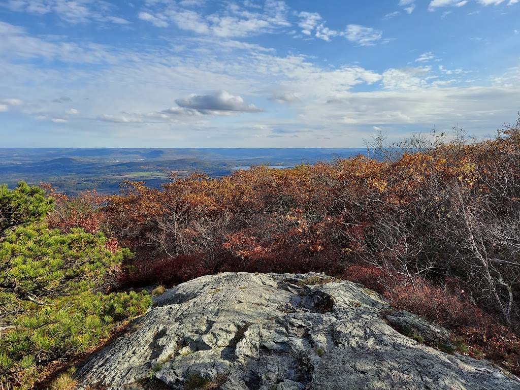 Mount Washington State Forest | 143 East St, Mt Washington, MA 01258 | Phone: (413) 528-0330