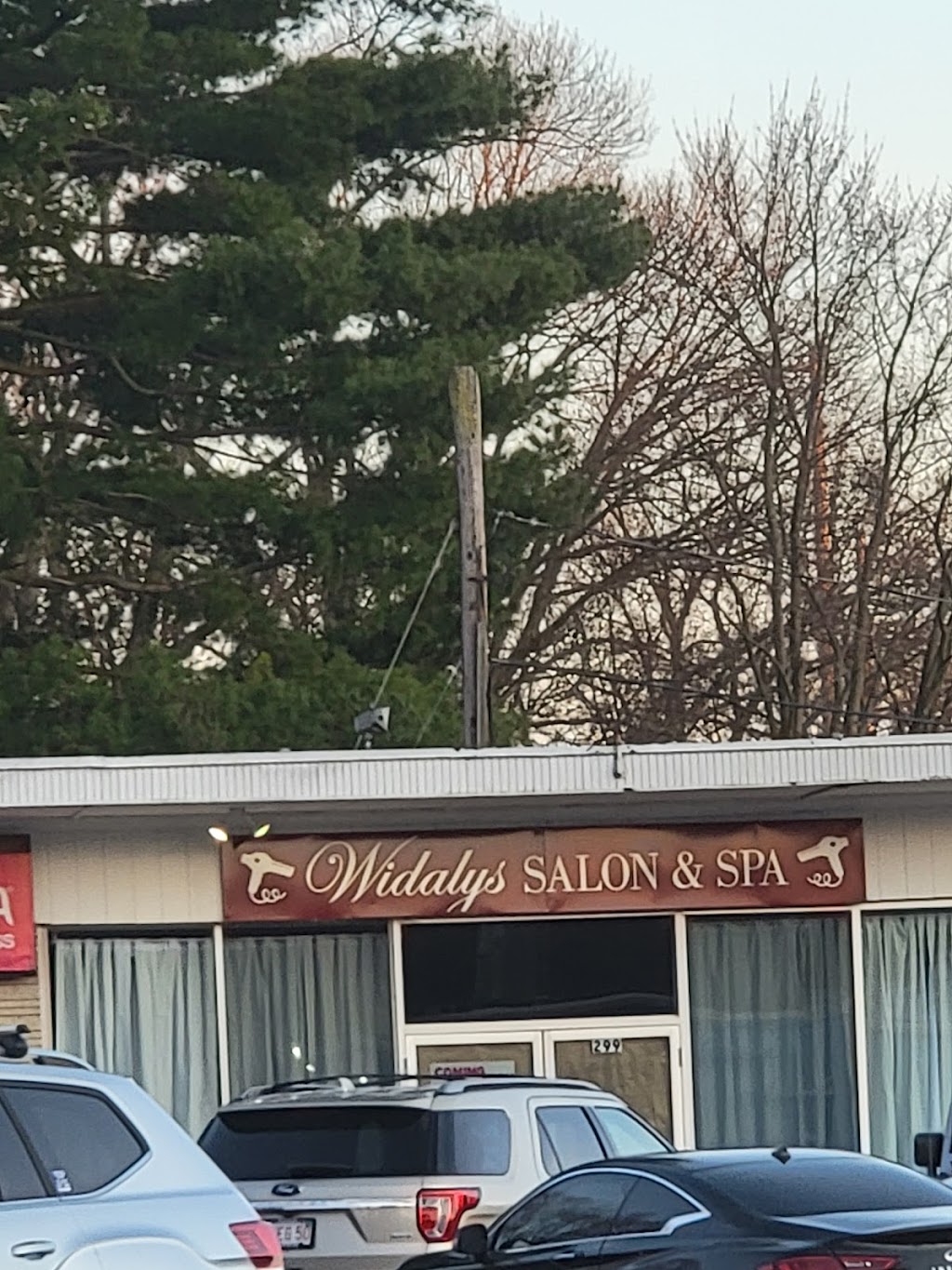 Widalys Salon & Spa | 299 Springfield St, Agawam, MA 01001 | Phone: (413) 209-9684