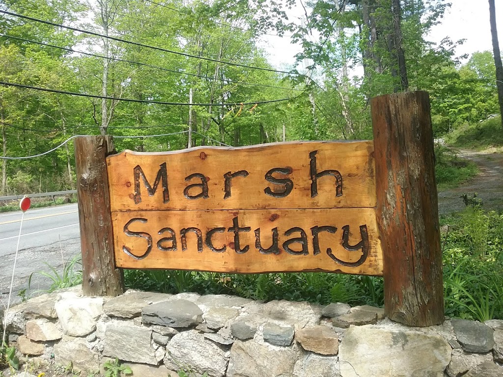 Marsh Sanctuary | B Rd, Mt Kisco, NY 10549 | Phone: (914) 218-3022