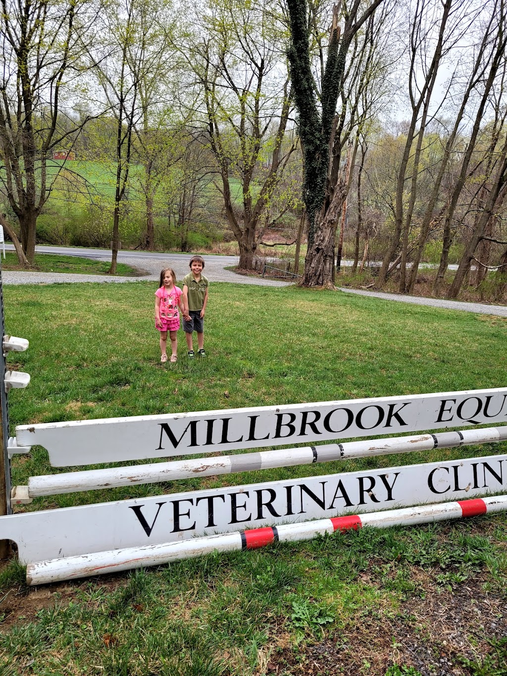 Millbrook Equine Veterinary Clinic, PC | 3967 US-44, Millbrook, NY 12545 | Phone: (845) 677-5500