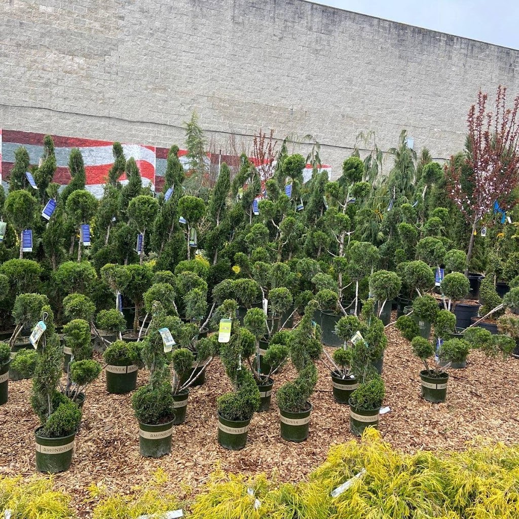 Victory Nursery & Landscaping Inc. | 3441 Victory Blvd, Staten Island, NY 10314 | Phone: (347) 983-4881