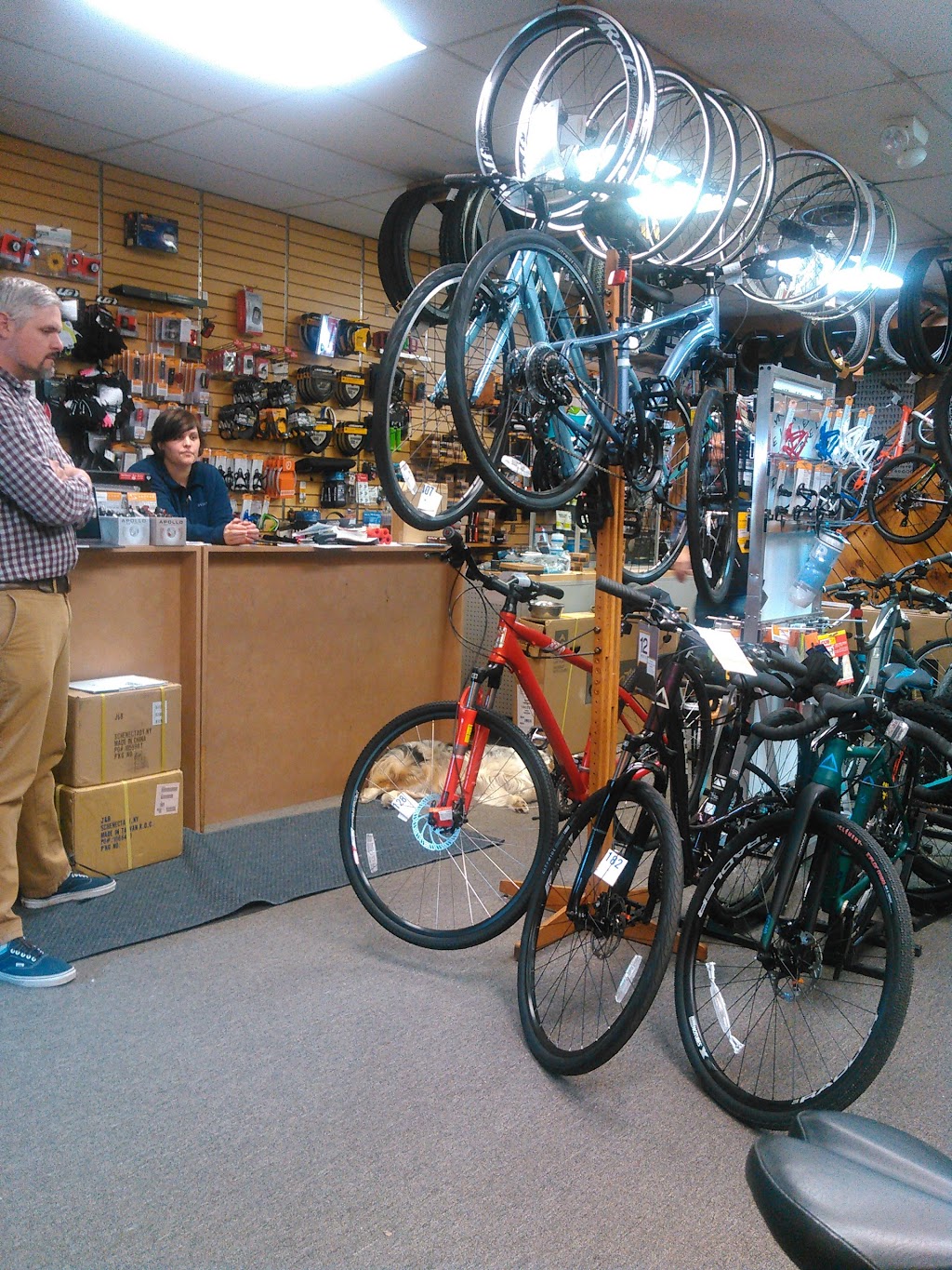 New Horizons Bikes | 55 Franklin St, Westfield, MA 01085 | Phone: (413) 562-5237