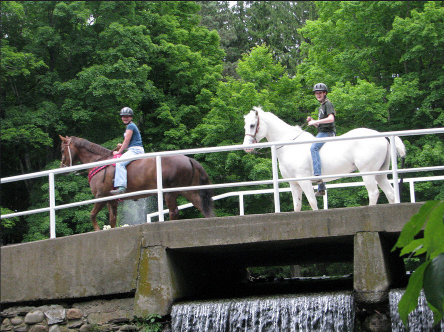 Spring Valley Equestrian Center | 56 Paulinskill Lake Rd, Newton, NJ 07860 | Phone: (973) 383-3766