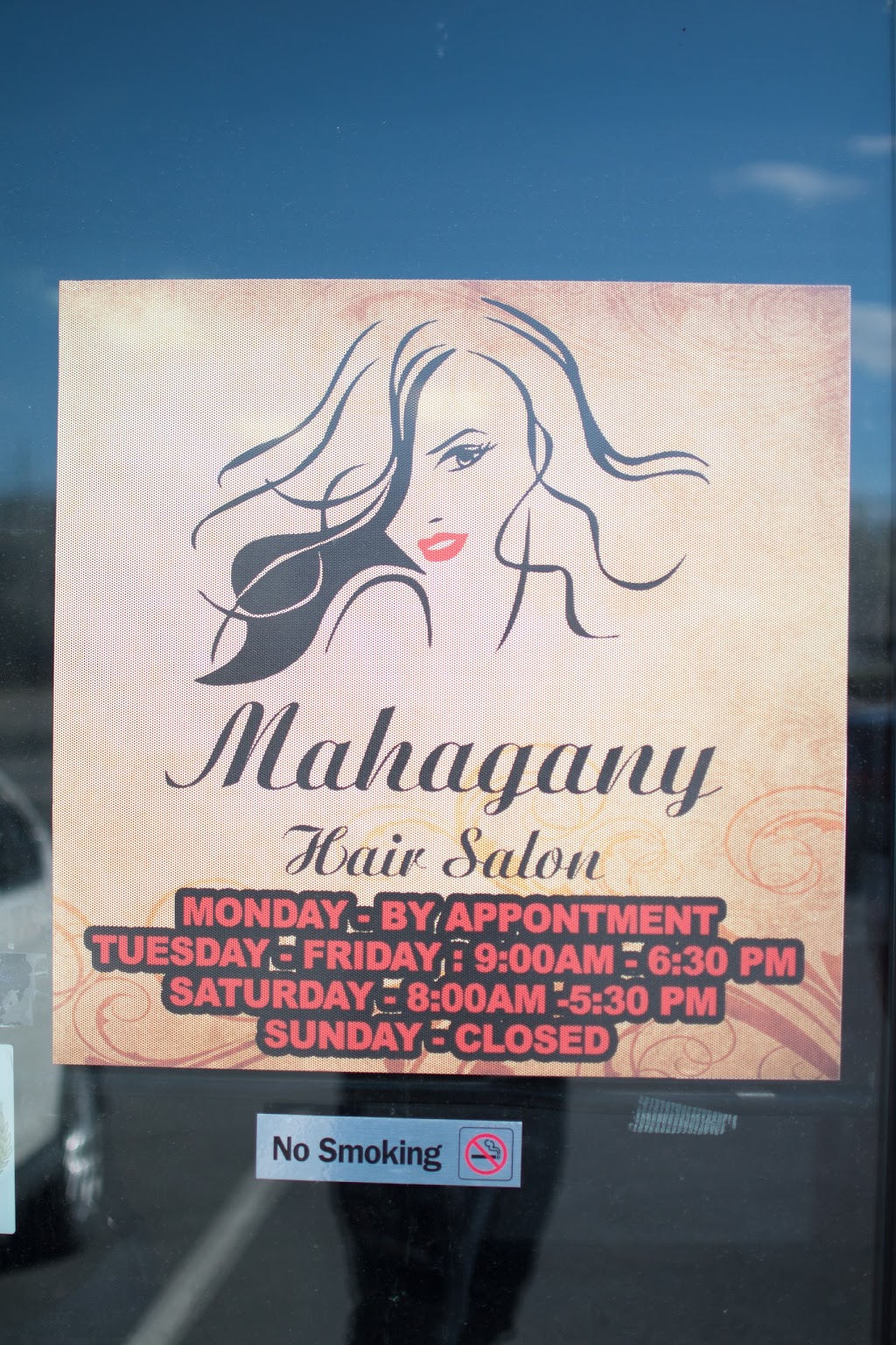 Mahagany Hair Salon: Dominican Stylist | 106 Columbia Dr Suite 5, East Stroudsburg, PA 18301 | Phone: (570) 872-9101