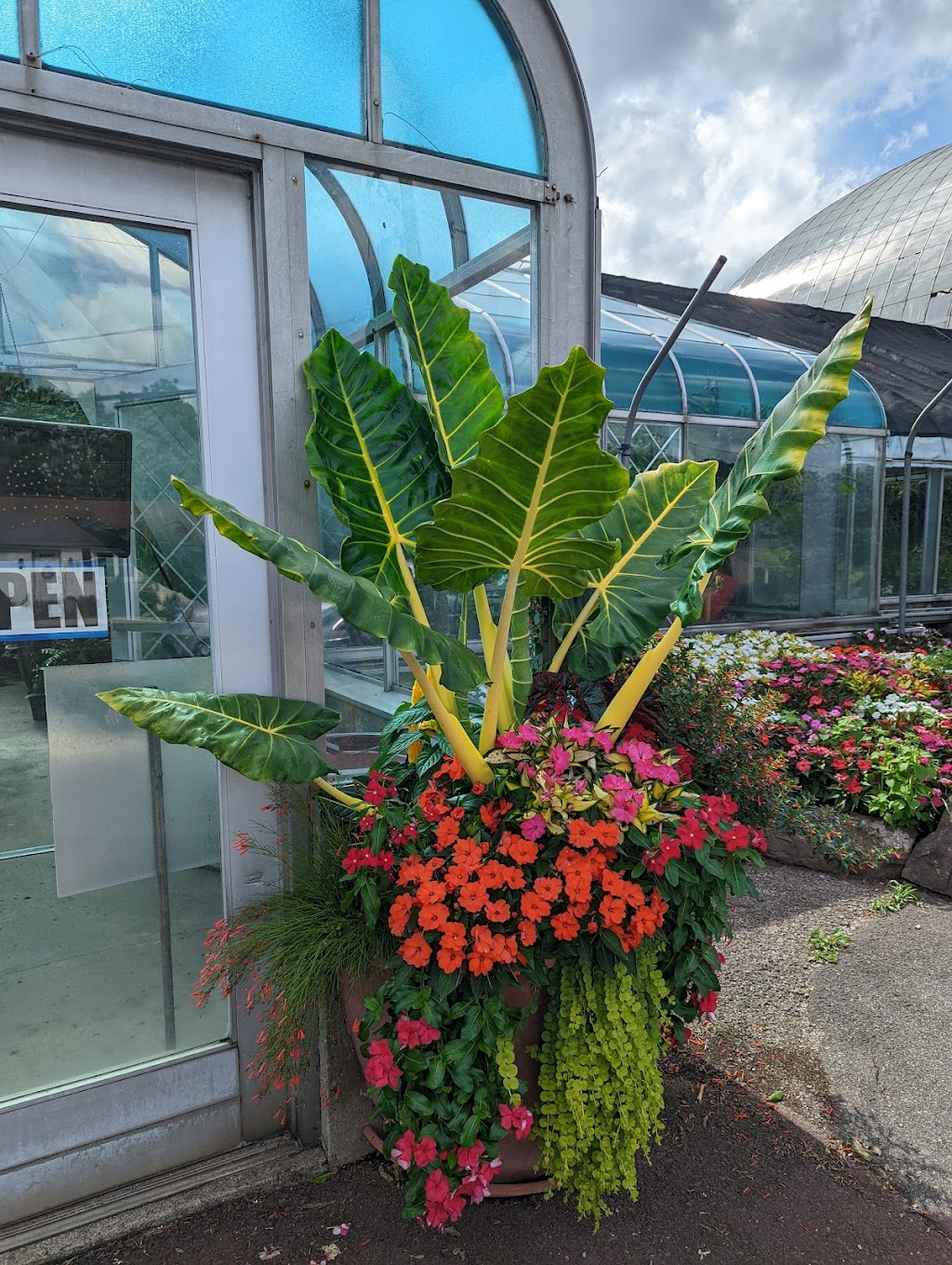 Otts Exotic Plants | 861 Gravel Pike, Schwenksville, PA 19473 | Phone: (610) 287-7878