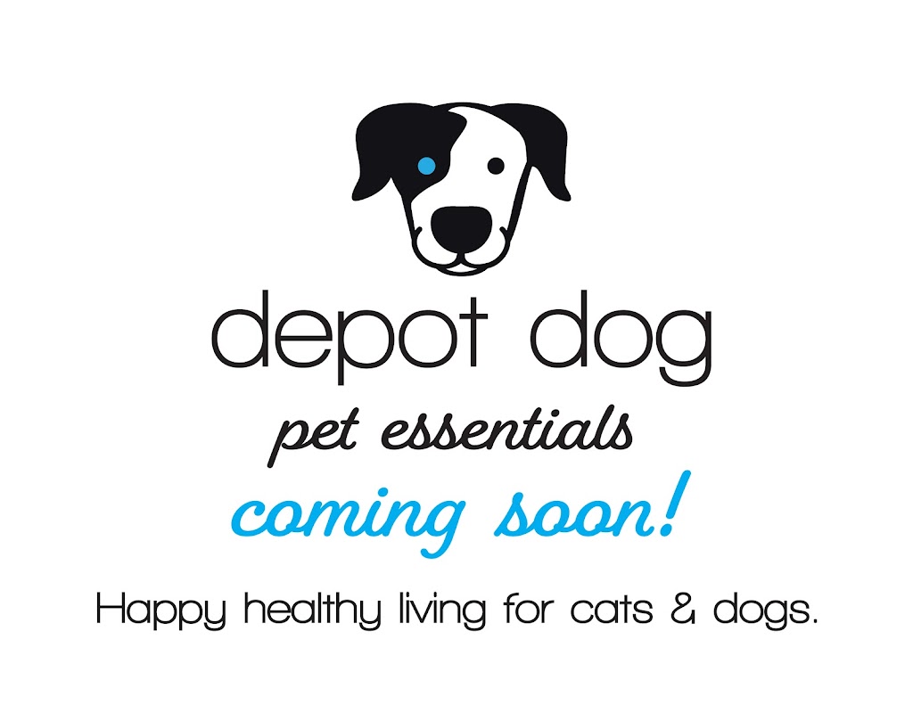 depot dog boutique | 11 Titus Rd, Washington Depot, CT 06794 | Phone: (860) 619-0430