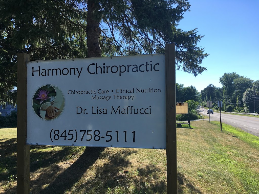 Harmony Chiropractic | 102 W Market St, Red Hook, NY 12571 | Phone: (845) 758-5111