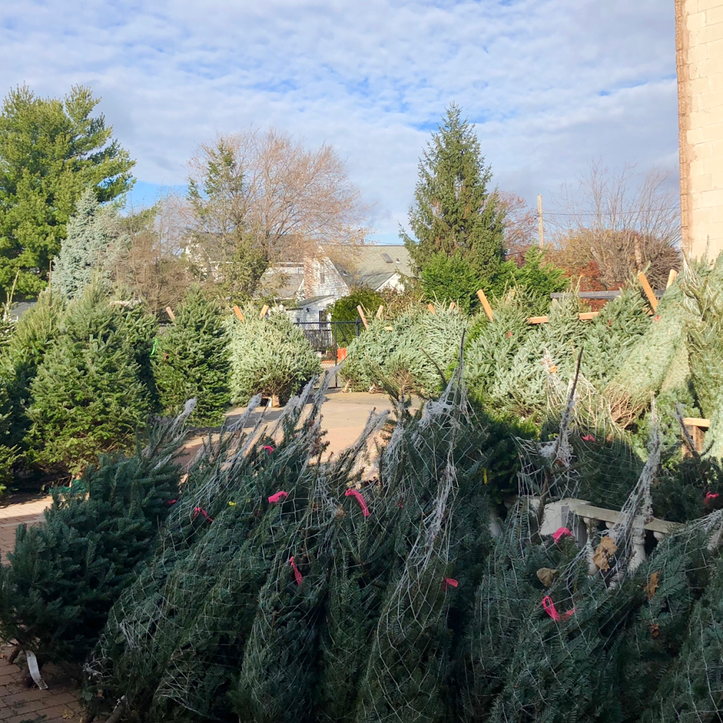 Long Island Christmas Tree Delivery | 110 Jericho Turnpike, Mineola, NY 11501 | Phone: (516) 524-9428