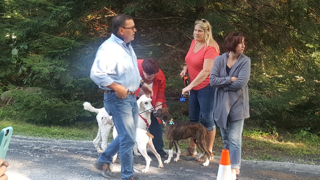 Barrett Township Dog Park | Gravel Rd, Canadensis, PA 18325 | Phone: (570) 595-2602