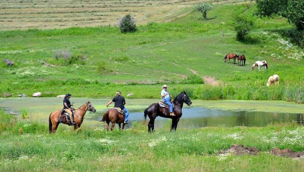 Happy Trails Stables Waymart | 613 Honesdale Rd, Waymart, PA 18472 | Phone: (570) 488-6996