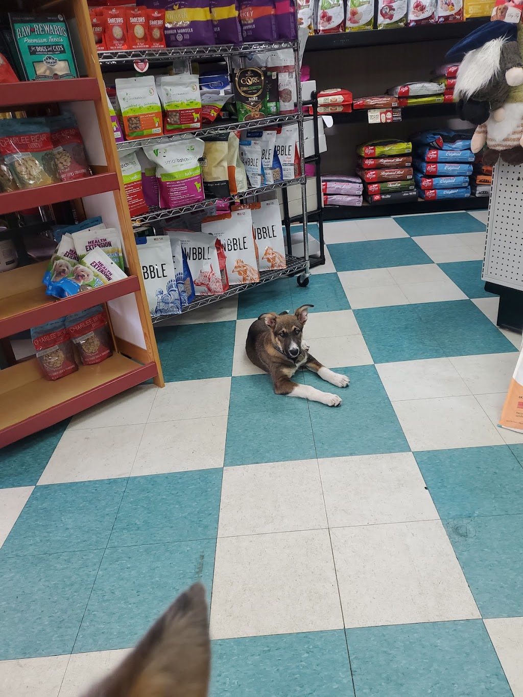 Pets Choice | 155 Main St, Deep River, CT 06417 | Phone: (860) 526-5700