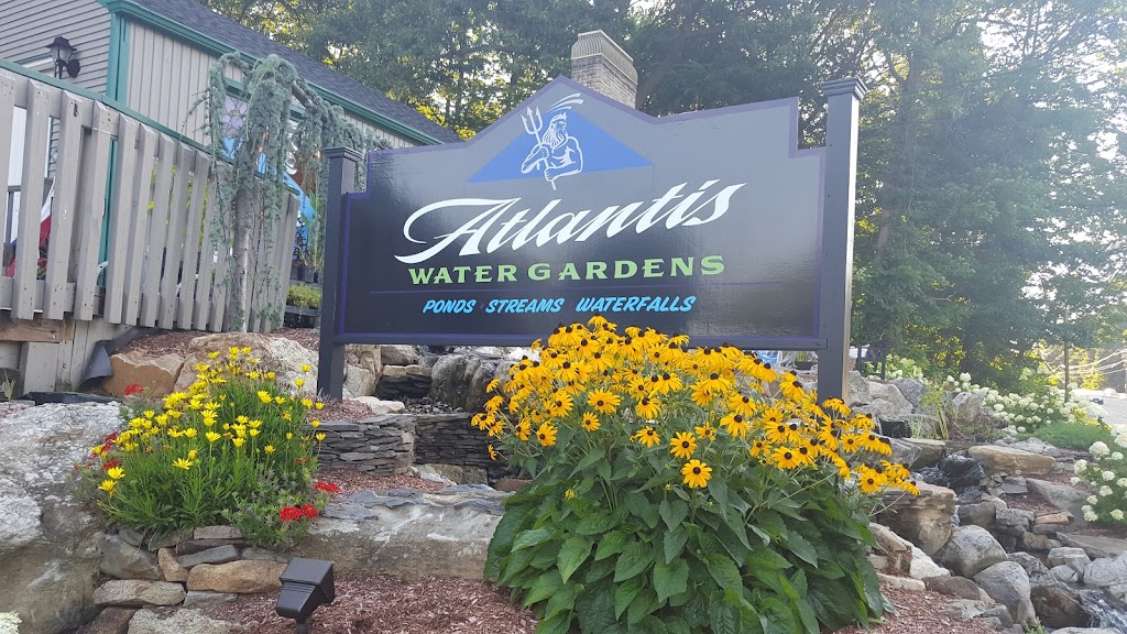 Atlantis Water Gardens | 3017 NJ-10, Morris Plains, NJ 07950 | Phone: (973) 627-0515