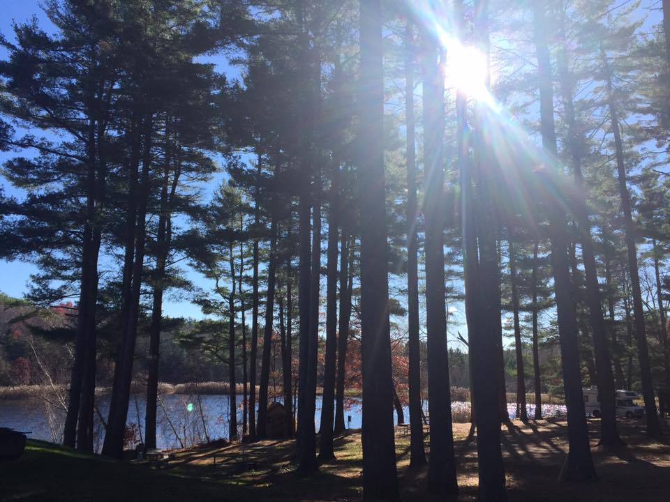 Wilderness Lake Campground & Resort | 150 Village Hill Rd, Willington, CT 06279 | Phone: (860) 874-8058