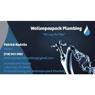 Wallenpaupack Plumbing | 1100 Red Hawk Dr, Lake Ariel, PA 18436 | Phone: (718) 813-2902