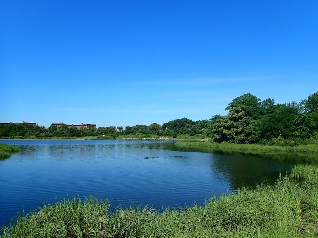 Marine Park Salt Marsh Nature Trail | Marine Park Salt Marsh Nature Center, 3301 Avenue U, Brooklyn, NY 11234 | Phone: (718) 421-2021