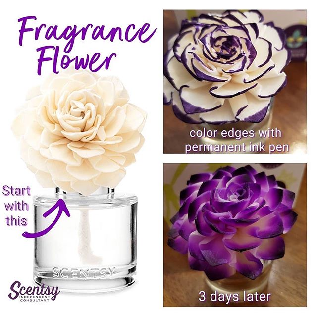 Perfect Scents By Trish | 6 Dedham Pl, Kings Park, NY 11754 | Phone: (516) 661-0979