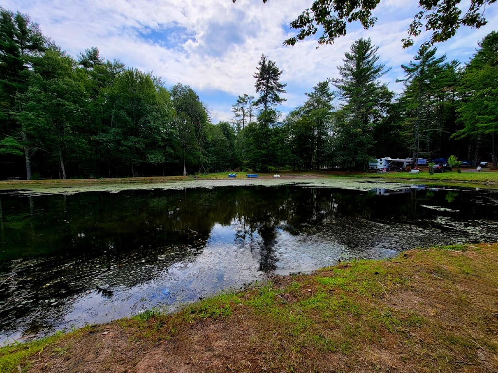 SoHi Campground | 425 Woodland Rd, Accord, NY 12404 | Phone: (845) 687-7377