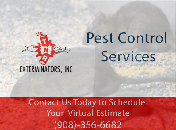 TNR Exterminators | 17 Rolling Hill Dr, Millington, NJ 07946 | Phone: (718) 338-2526