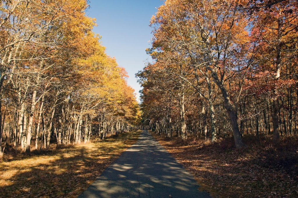 Connetquot River State Park Preserve | 4090 Sunrise Hwy, Oakdale, NY 11769 | Phone: (631) 581-1005