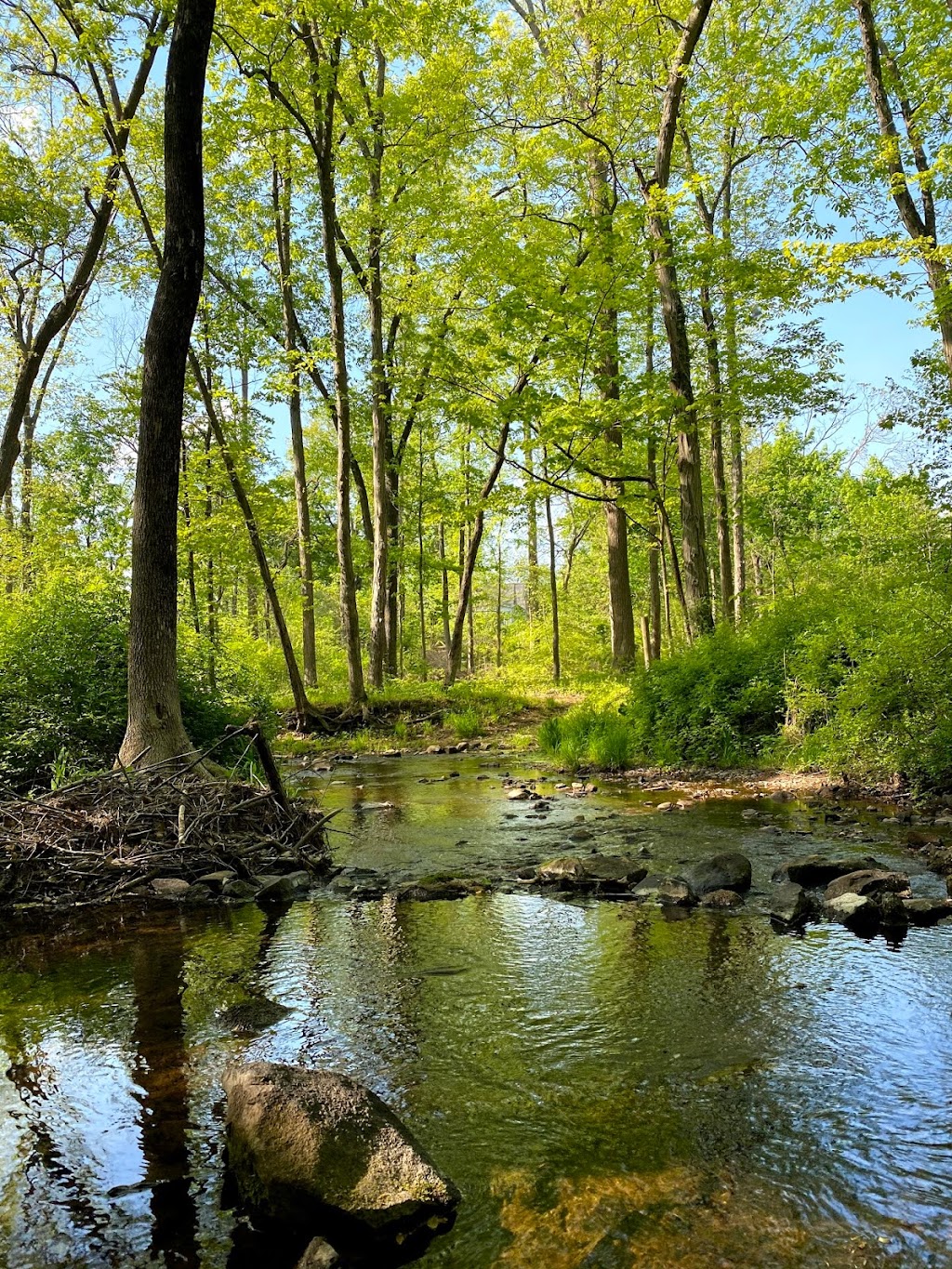 John Clyde Native Grassland Preserve | Princeton, NJ 08540 | Phone: (732) 873-2500 ext. 6230