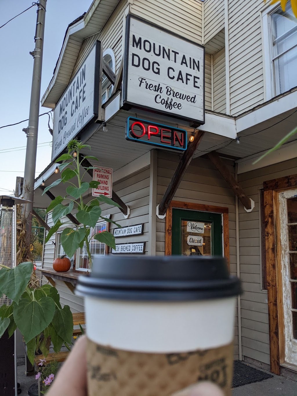 Mountain Dog Cafe | 5 Harper St, Stamford, NY 12167 | Phone: (607) 214-4324