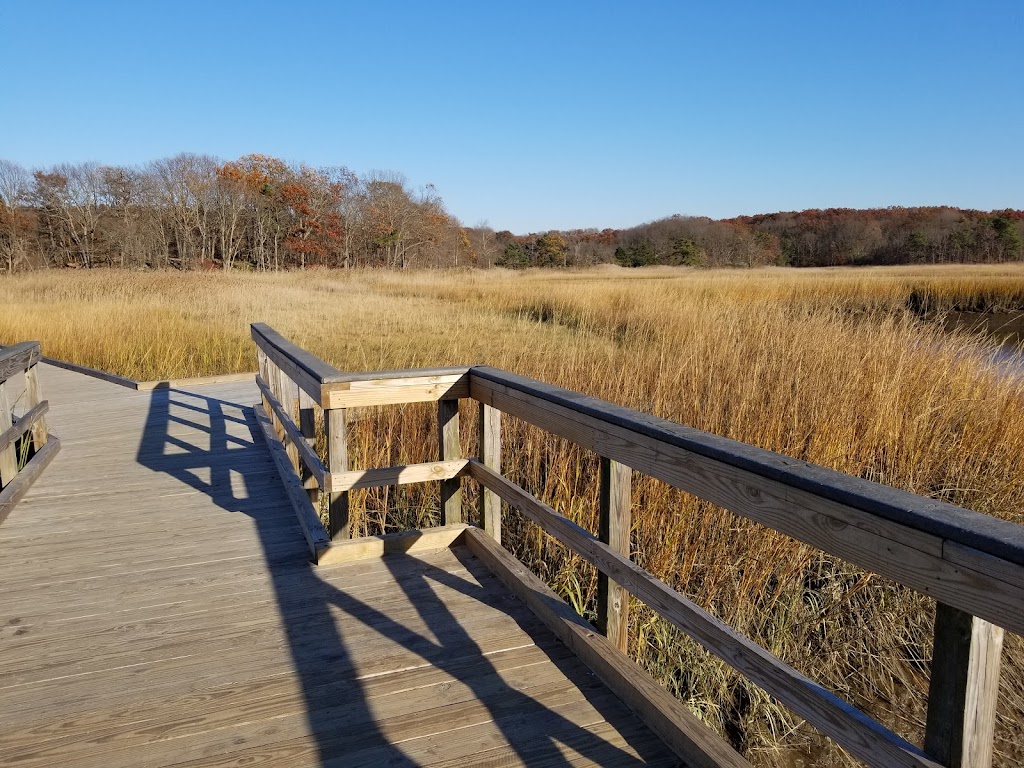 Interpretive Center at Cheesequake State Park | Interpretive Center, Matawan, NJ 07747 | Phone: (732) 566-2161