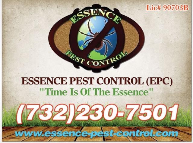 Essence Pest Control | 55 15th St, Somerset, NJ 08873 | Phone: (732) 230-7501