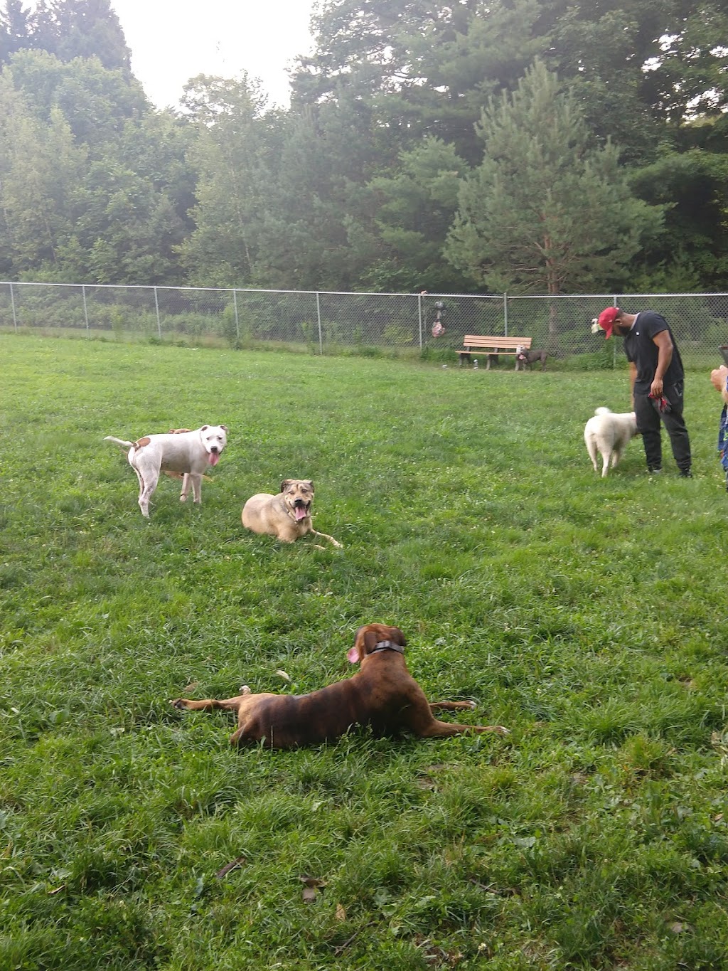 Barrett Township Dog Park | Gravel Rd, Canadensis, PA 18325 | Phone: (570) 595-2602