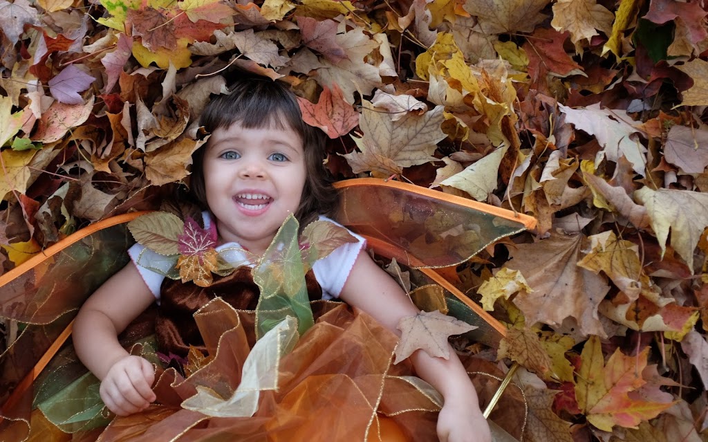 Little Leaf Preschool at Teatown Lake Reservation | 1600 Spring Valley Rd, Ossining, NY 10562 | Phone: (914) 214-1055
